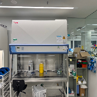 Thermo Safe 2020 6' BioSafety Cabinet image 0